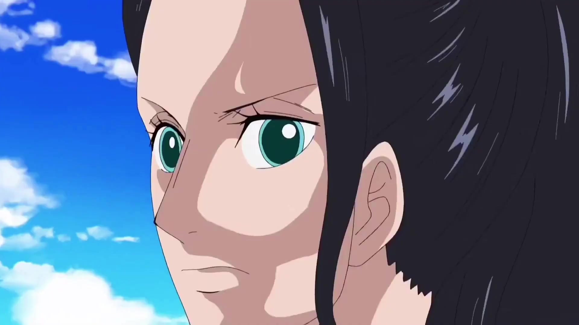 Robin_11.mp4